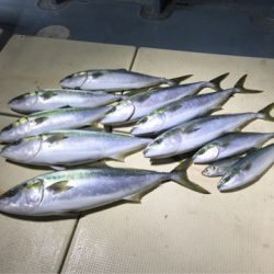 Monster Rush! 釣果