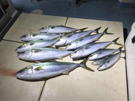 Monster Rush! 釣果