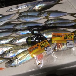 Monster Rush! 釣果