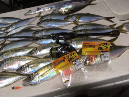 Monster Rush! 釣果