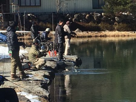 白州トラウトフィッシングエリア　シルフ 釣果