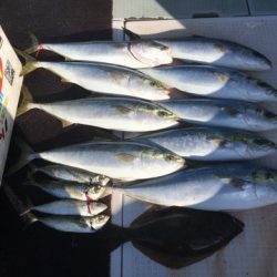 エムズジャーク（M’s JERK） 釣果