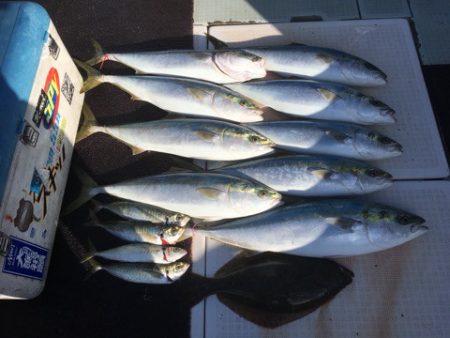 エムズジャーク（M’s JERK） 釣果