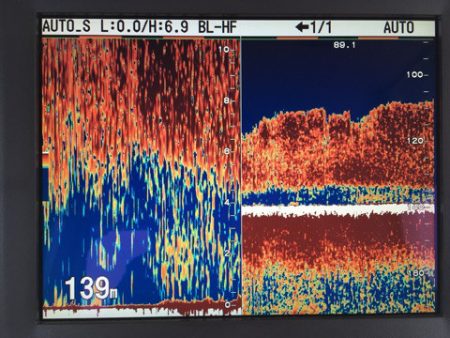 渡船屋たにぐち 釣果