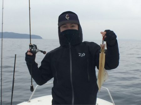 「LaGooN」蒼陽丸 日和号　 釣果