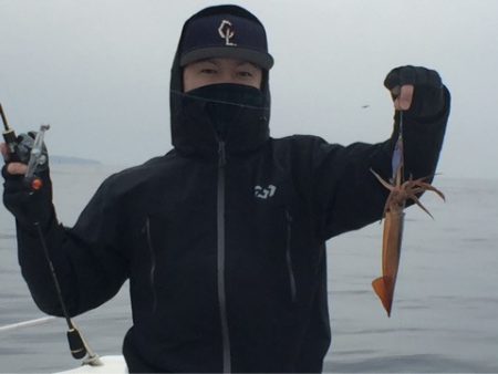 「LaGooN」蒼陽丸 日和号 釣果