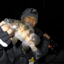 Chase（チェイス） 釣果