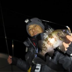 Chase（チェイス） 釣果