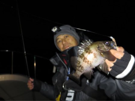 Chase（チェイス） 釣果