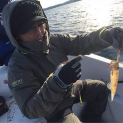 「LaGooN」蒼陽丸 日和号 釣果