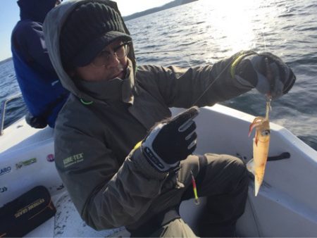 「LaGooN」蒼陽丸 日和号 釣果