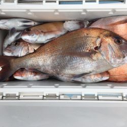 第二八坂丸 釣果