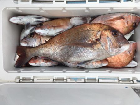 第二八坂丸 釣果