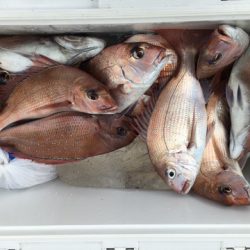 第二八坂丸 釣果