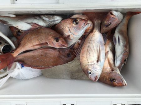 第二八坂丸 釣果