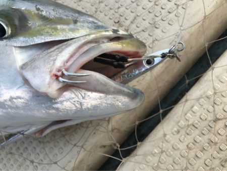 Monster Rush! 釣果