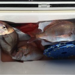 第二八坂丸 釣果