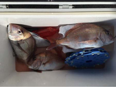 第二八坂丸 釣果