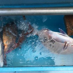 第二八坂丸 釣果