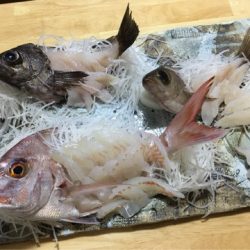 末広丸(熊本) 釣果