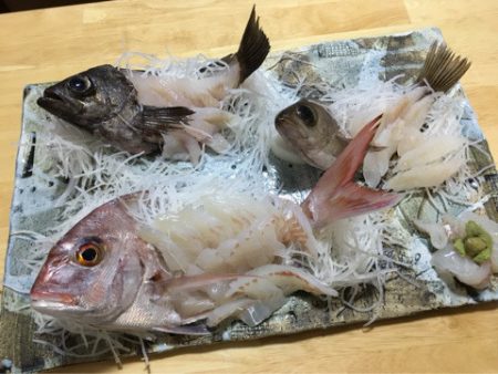 末広丸(熊本) 釣果