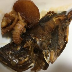 末広丸(熊本) 釣果