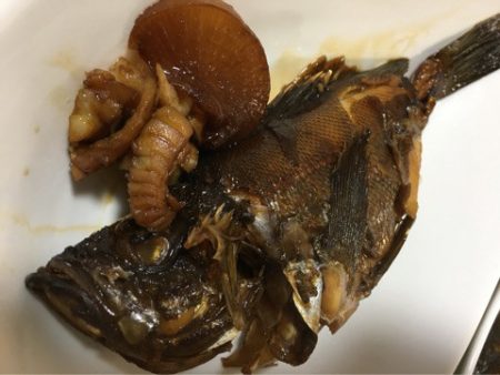 末広丸(熊本) 釣果