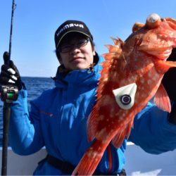 渡船屋たにぐち 釣果