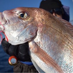 渡船屋たにぐち 釣果
