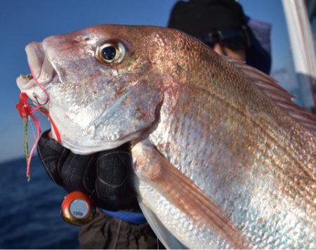 渡船屋たにぐち 釣果
