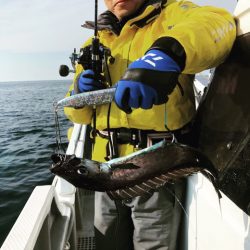 ＴＡＲＯＭＡＲＵ 釣果