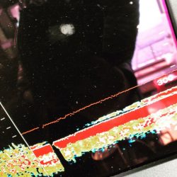 ＴＡＲＯＭＡＲＵ 釣果