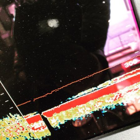 ＴＡＲＯＭＡＲＵ 釣果