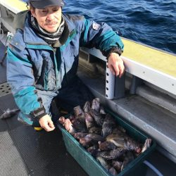 シーランチ 釣果