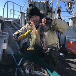 シーランチ 釣果