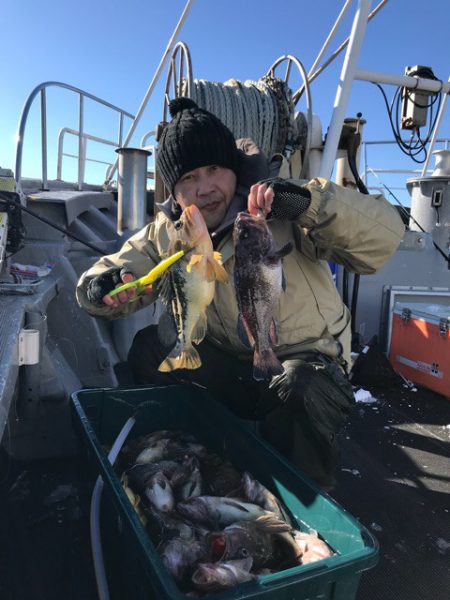 シーランチ 釣果