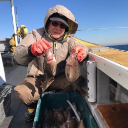 シーランチ 釣果