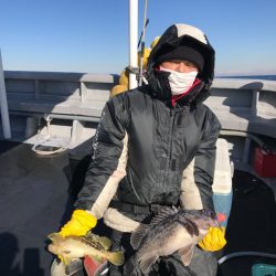 シーランチ 釣果