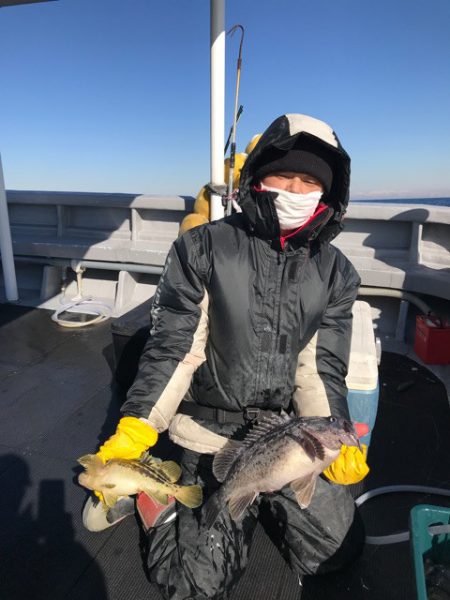 シーランチ 釣果