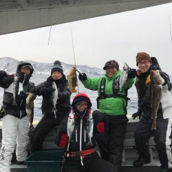 シーランチ 釣果