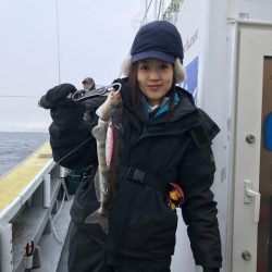 シーランチ 釣果