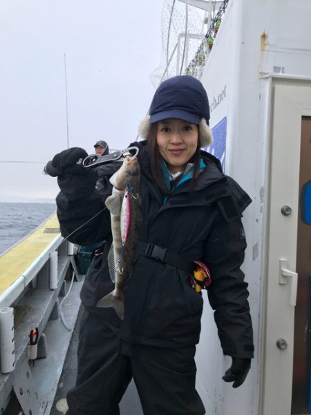 シーランチ 釣果