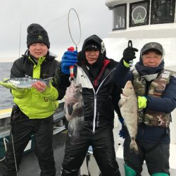 シーランチ 釣果