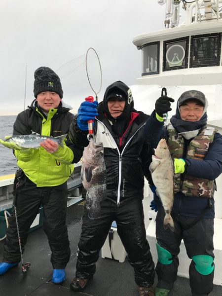 シーランチ 釣果