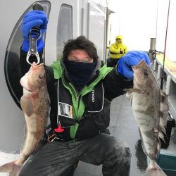 シーランチ 釣果