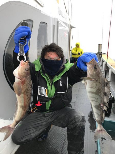 シーランチ 釣果