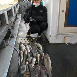 シーランチ 釣果