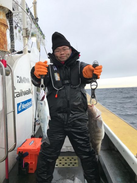 シーランチ 釣果