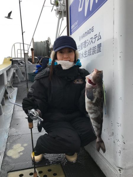 シーランチ 釣果