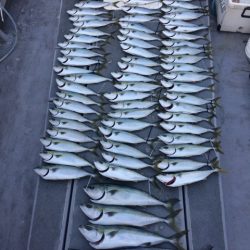 SeaRide(シーライド) 釣果